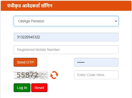 old age pension status online